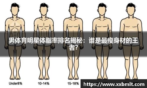 星空体育平台app
