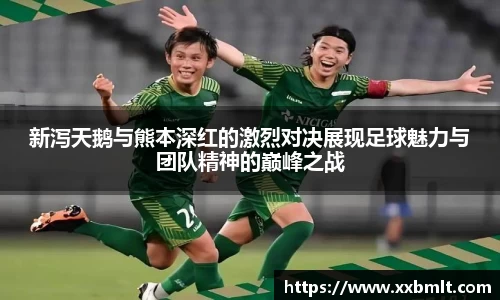 新泻天鹅与熊本深红的激烈对决展现足球魅力与团队精神的巅峰之战