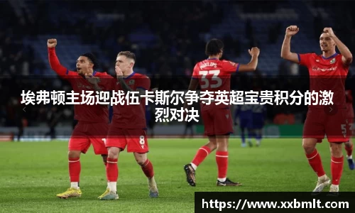 埃弗顿主场迎战伍卡斯尔争夺英超宝贵积分的激烈对决